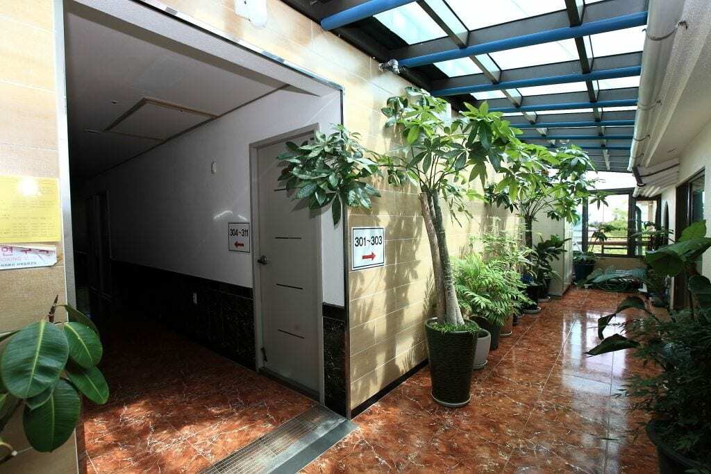 Haesung Pension Seogwipo Extérieur photo